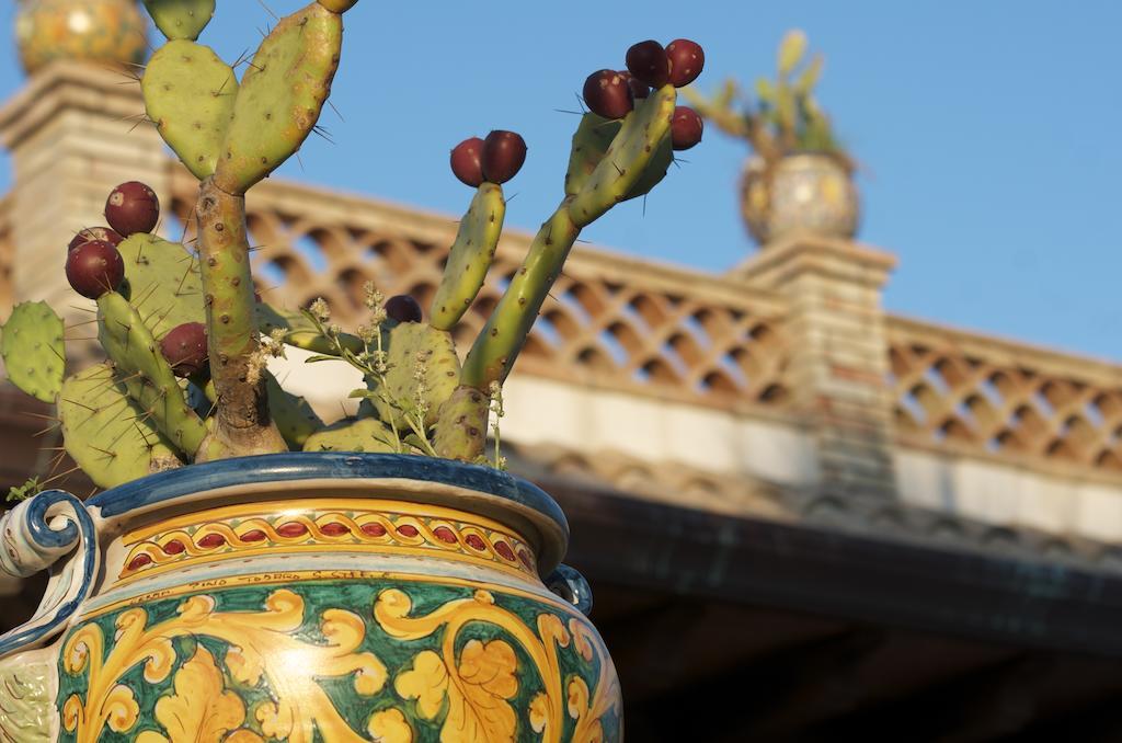 Villa Papardo Giarre Oda fotoğraf