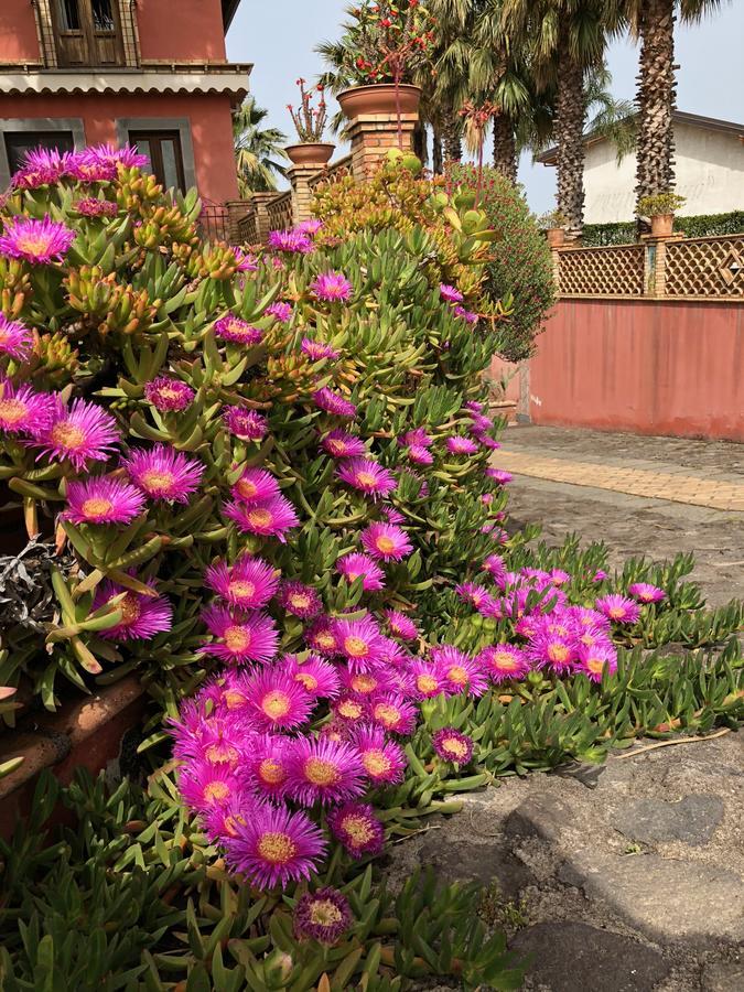 Villa Papardo Giarre Dış mekan fotoğraf
